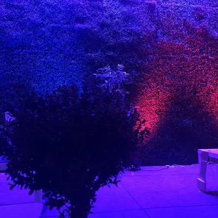 Pretty green wall
