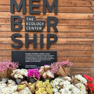 a display of flowers