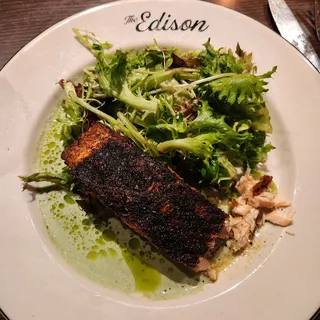 Salmon