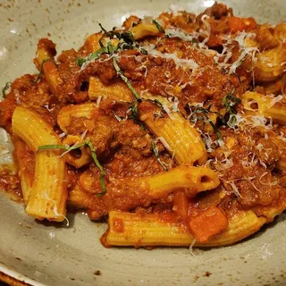 Bolognese