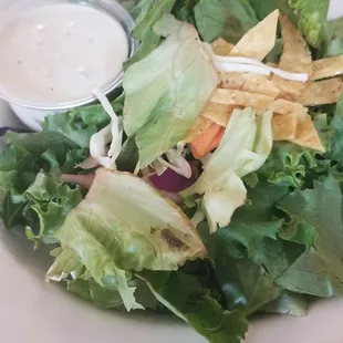 salad, food, salads