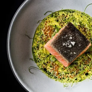 Steelhead Trout