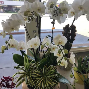 Arrangements were super inexpensive, too.