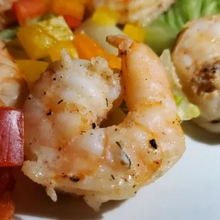 Close-up Rio Grande Shrimp