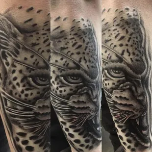 REALISTIC ANIMAL BY LUIS