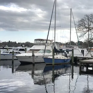 View of the water from the park.