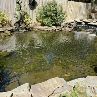 Koi pond in kids area