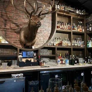 Bar area