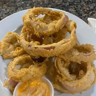 a plate of onion rings