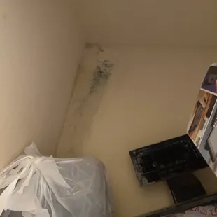mold in closet