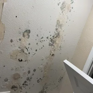 mold in bathroom ceiling