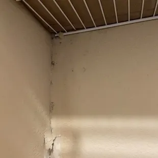 mold in closet