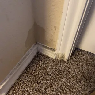 mold and water damage outside of bathroom