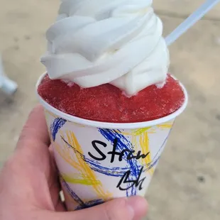 a hand holding a cup of ice cream