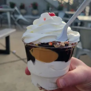 a hand holding a cup of ice cream