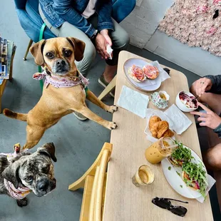 Puggle Brigade inspectors.