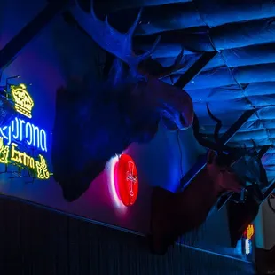 The Establishment Saloon