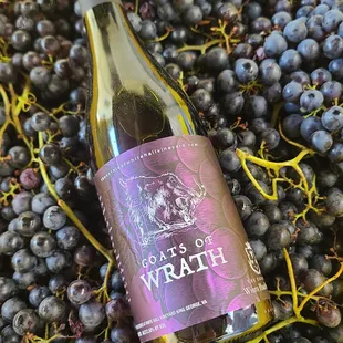 Our Gateway Red: Goats of Wrath.  A Delicious Virginia Chambourcin that is easy drinking and one of our most popular wines.