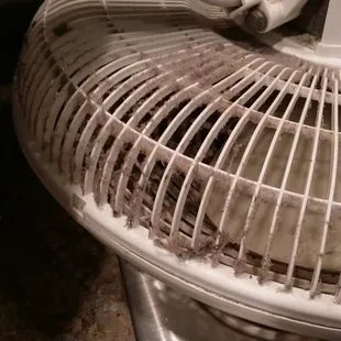 The fan in our room!  We used it at night not realizing WHAT was on it.