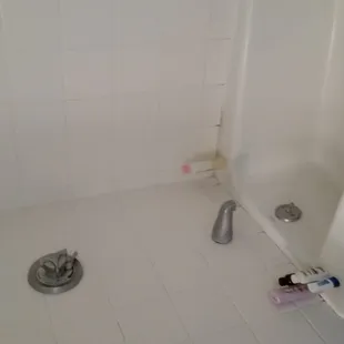 Our moldy and stinky bathtub.