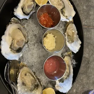 Raw Oysters