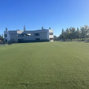 Their field is huge