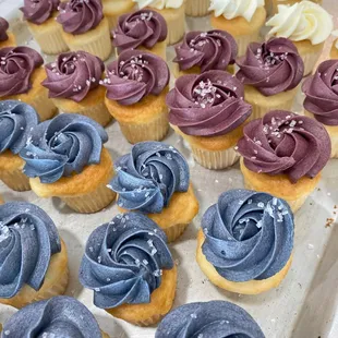 a tray of cupcakes with frosting