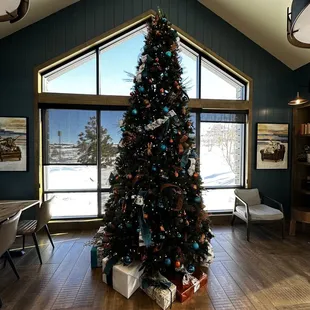 Beautiful Christmas Tree in a cove with seating nearby