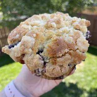 Blueberry buttermilk crumb muffin