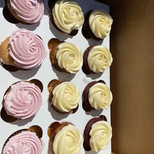 Regular cupcakes