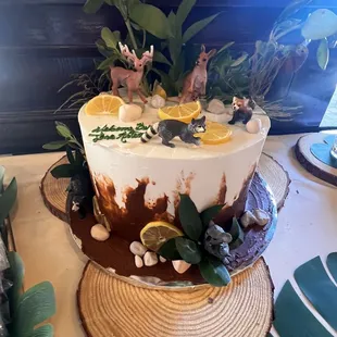 Safari cake