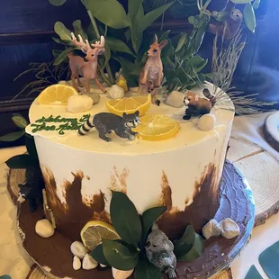 Safari theme cake