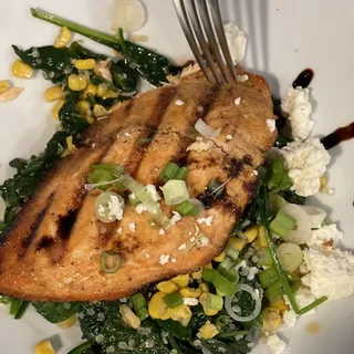 Mediterranean Salmon