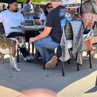 a group of people sitting at a table with a dog