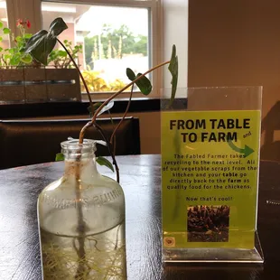 Chickens love scraps, but sadly we cleared our plates! They do get veggie peels though...