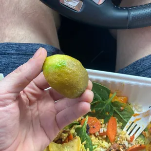 a hand holding a piece of food