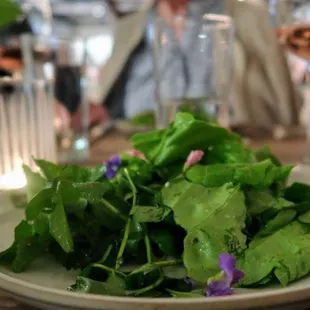 Friends of the Factory 4/15/2017, Chef Scott Peacock Salad of morning gathered watercress and foraged greens