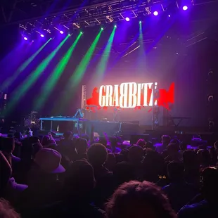 a large crowd of people at a concert