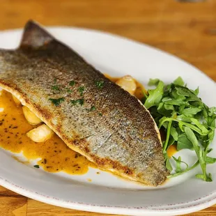 Lunch trout, it was okay