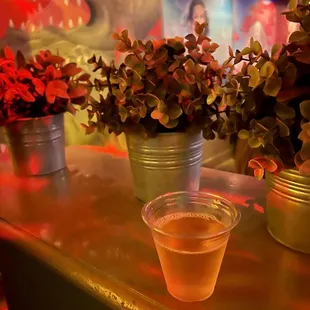 three cups of beer on a bar