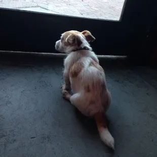 Clinton enjoying himself at the bar. :)