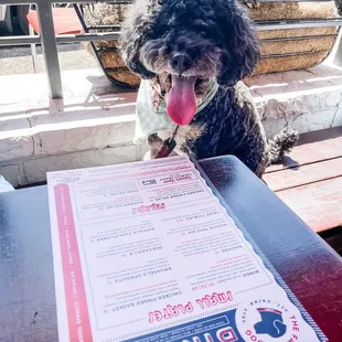 a menu on a table