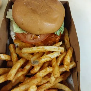 Chicken burger and fries