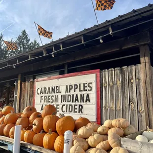 a display of pumpkins and apples