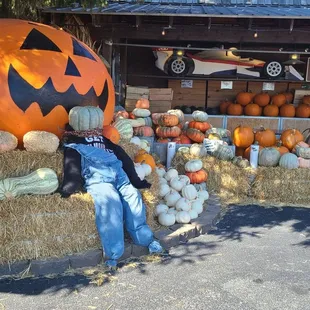 Kids love this large pumpkin.