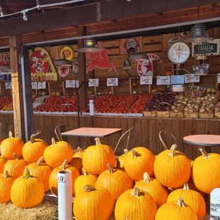 Many types of pumpkins to carve, decorate with some cool colors, and love the gray ones. Baking pumpkins, too.