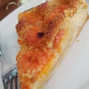 Apricot tarte, with fruit from our apricot tree.