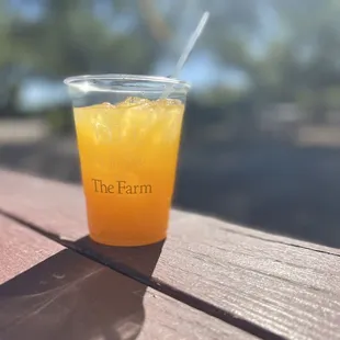 Delicious screwdriver made with fresh OJ