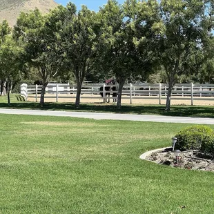 Well maintained grounds!