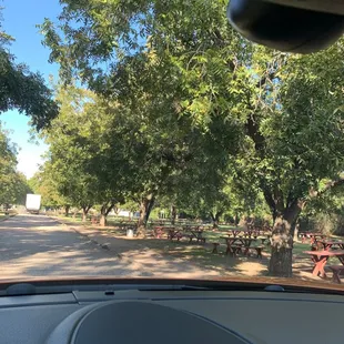 Long dusty driveway